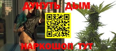 стафф Краснознаменск
